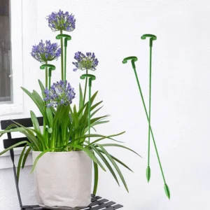 Támogató rudak szobanövényekhez (5 db) PLANTER